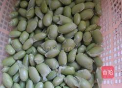 豆丁奇遇记的做法图解3