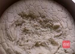 荞面馍的做法图解5