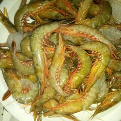 盐水活皮虾的做法[图]