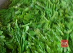 拌花椒芽。的做法图解2
