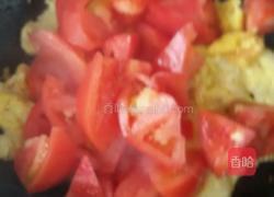 番茄鸡蛋。的做法图解4