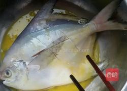 干烧平鱼的做法图解4