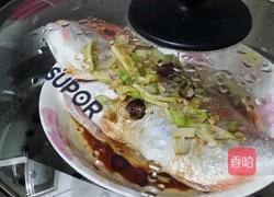 蒸红鲷鱼的做法图解4