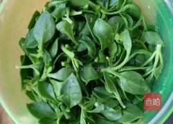 拌穿心莲。的做法图解1