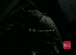 金毛狮子鱼的做法图解1