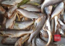 煎小黄花鱼的做法图解1