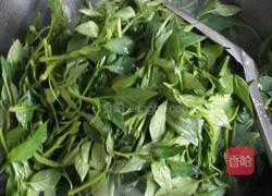 辣椒叶炒肉片的做法图解4