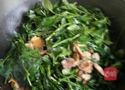 辣椒叶炒肉片的做法图解5