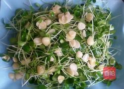 杏仁香椿苗的做法图解5