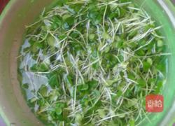 杏仁香椿苗的做法图解2