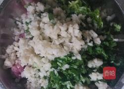 香菜肉末包子的做法图解4