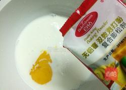 萌宠游春图的做法图解1