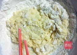 萌宠游春图的做法图解2