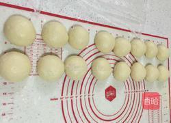 罗宋包的做法图解1