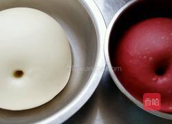 太阳花面包?的做法图解11