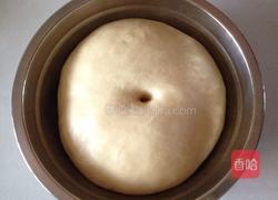 椰蓉餐包的做法图解4