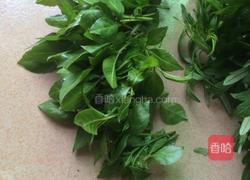 艾叶客家茶的做法图解2