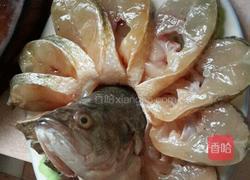 孔雀开屏的做法图解3