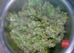 蒸榆钱儿的做法图解5