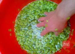 蒸榆钱儿的做法图解2