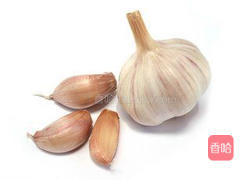 金钩冬瓜的做法图解2