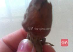 玫瑰花茶的做法图解2