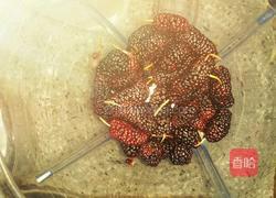 桑葚杏仁果汁的做法图解1