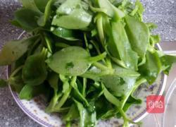 蒜炒穿心莲。的做法图解1