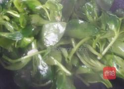 蒜炒穿心莲。的做法图解3