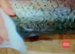 水煮鱼的做法图解2