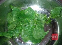 蒜香木耳菜的做法图解1