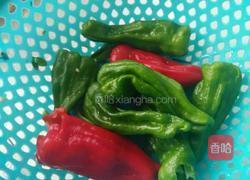 红烧老鹅的做法图解3