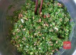 茴香馅饺子。的做法图解1
