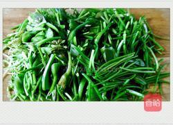 清炒洱海海菜的做法图解2