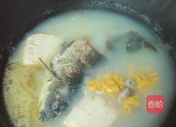 鲫鱼豆腐汤的做法图解8