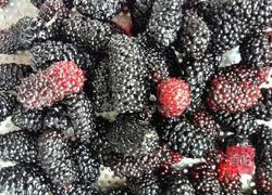 蜜饯鲜桑葚的做法图解1