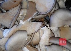 炸蘑菇的做法图解1