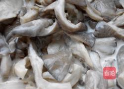 炸蘑菇的做法图解6