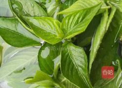 粽子的做法图解6