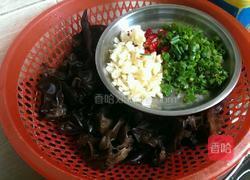 凉拌木耳的做法图解2