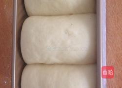 酒店吐司的做法图解3