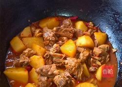 红烧鸭腿炖土豆的做法图解9