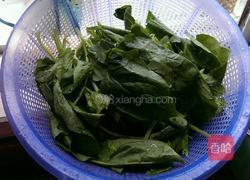 清炒菠菜的做法图解1