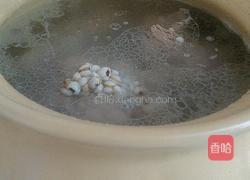薏米筒骨汤的做法图解4