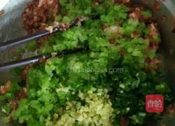 彩色饺子的做法图解3