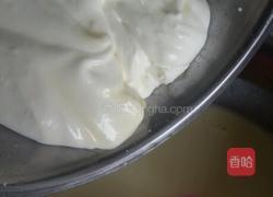 家庭版哈根达斯冰激凌。的做法图解6