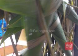 粽子的做法图解9