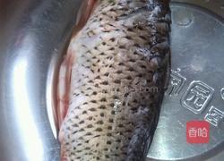 豆瓣鲤鱼的做法图解1