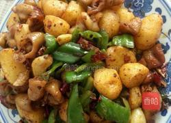 土豆烧肥肠的做法图解5