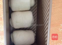 鲜奶吐司的做法图解5